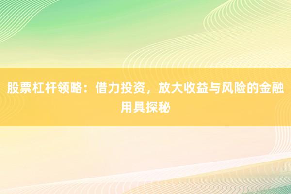 股票杠杆领略：借力投资，放大收益与风险的金融用具探秘