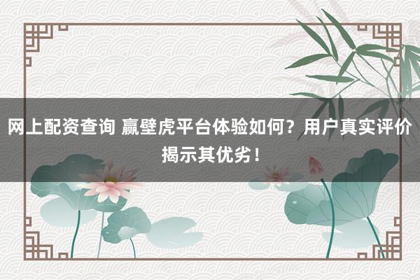 网上配资查询 赢壁虎平台体验如何？用户真实评价揭示其优劣！