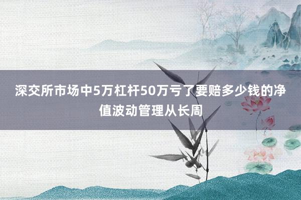 深交所市场中5万杠杆50万亏了要赔多少钱的净值波动管理从长周