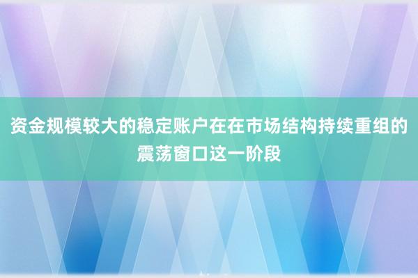 资金规模较大的稳定账户在在市场结构持续重组的震荡窗口这一阶段