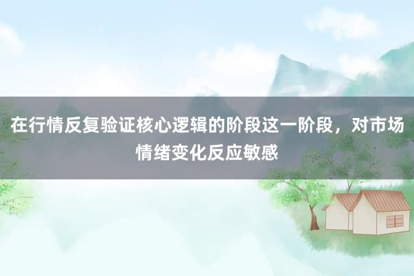 在行情反复验证核心逻辑的阶段这一阶段，对市场情绪变化反应敏感