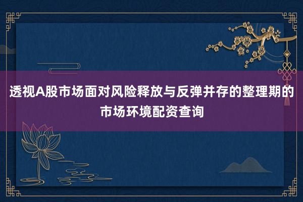 透视A股市场面对风险释放与反弹并存的整理期的市场环境配资查询