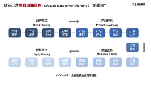 纵合咨询micc 企业战略定位及管理咨询领域的特色品质企业